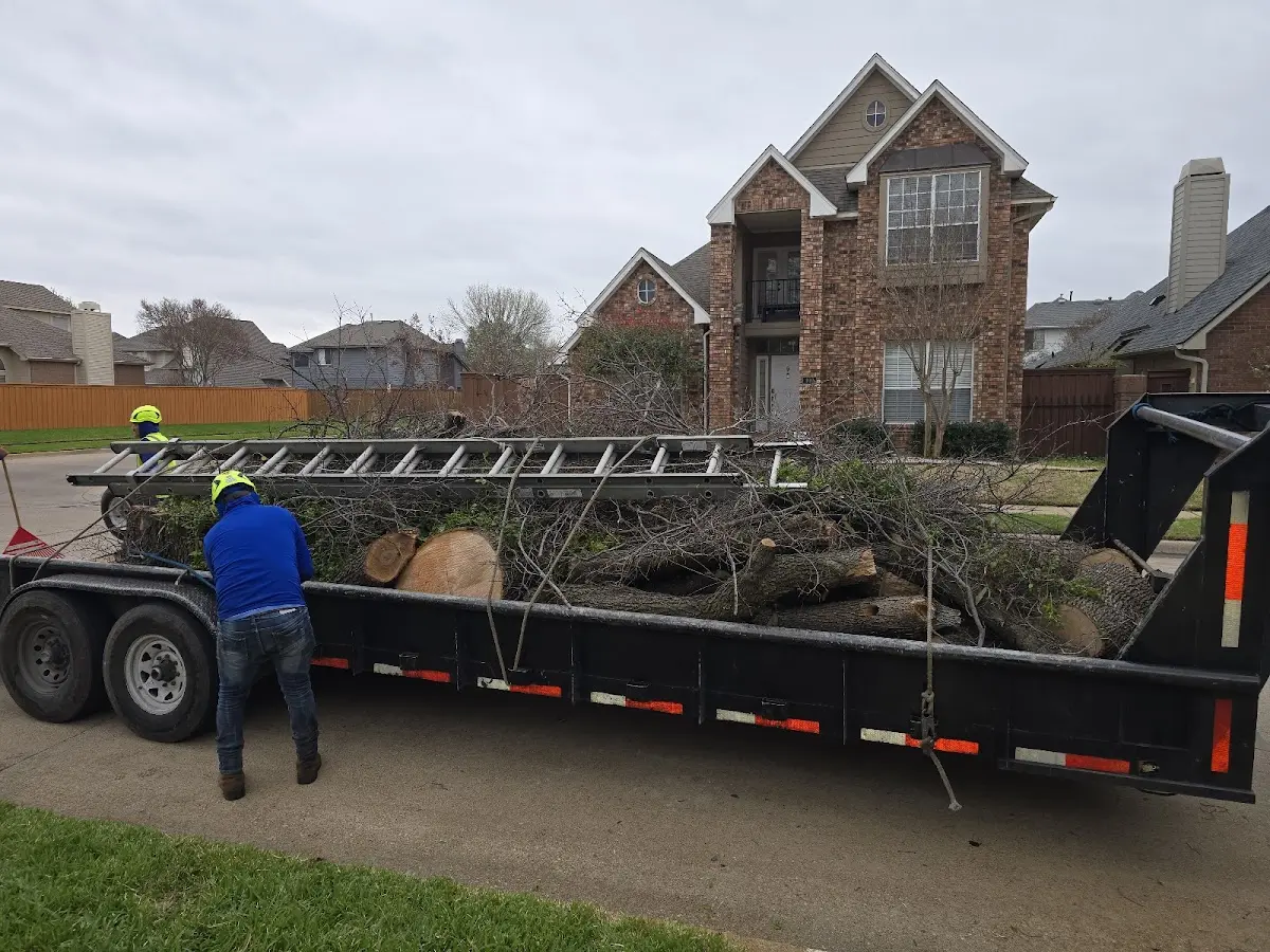 Expert Tree Removal with proper safety equipment in North Prairie